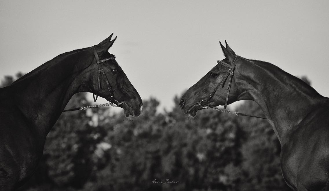Artur Baboev - Photographer